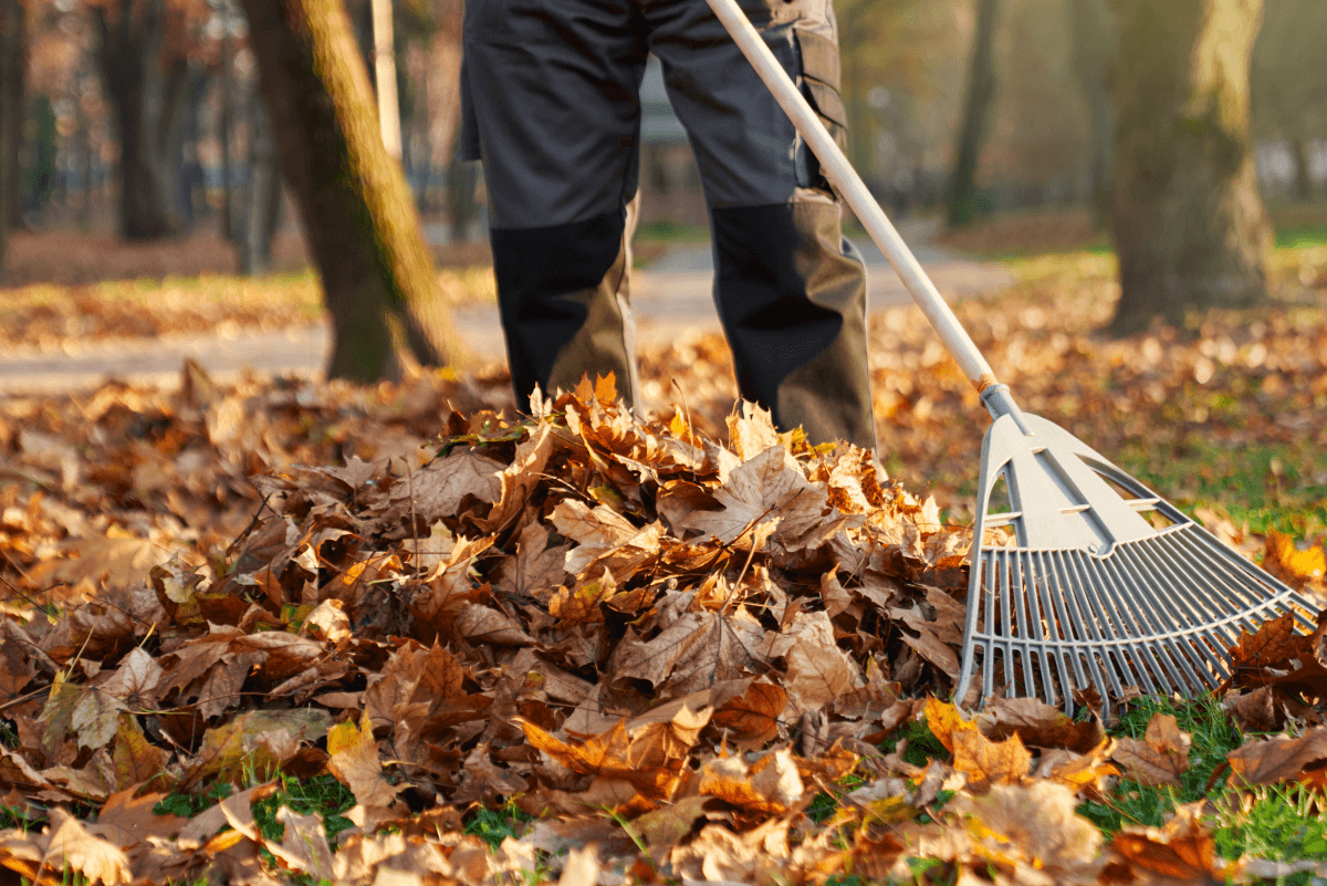 Landscaping services in Bertram