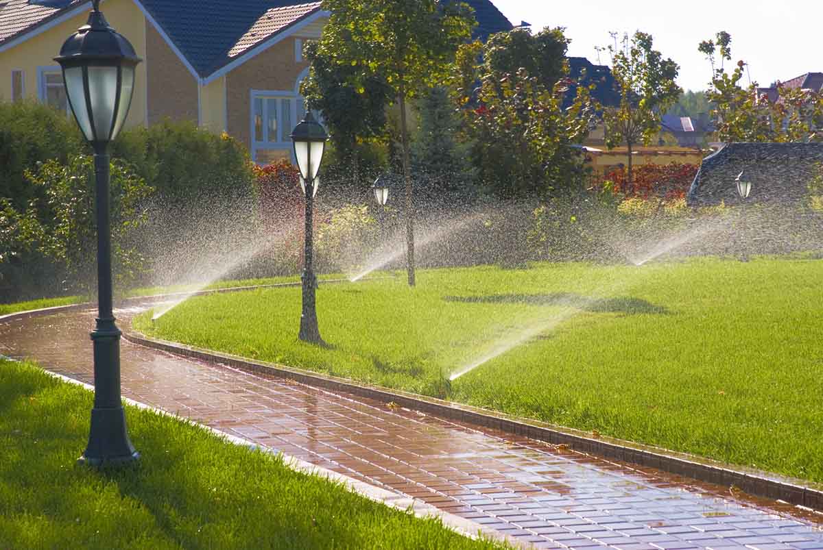 View leaf removal project in Burnet